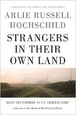 Das Buchcover ist weiß gehalten und zeigt außer den Titelangaben nur ein Foto, auf dem eine Industrieanlage zu sehen ist, fotografiert von einer grünen 
Landschaft aus mit Büschen und Trampelpfaden. Das Bild ist nicht sehr scharf, was wahrscheinlich an den Abgasen der Industrieanlage liegt. Dennoch spielt das Foto mit romantischen Darstellungen von Landschaften, auch durch den rosa getönten (Abend-)Himmel.